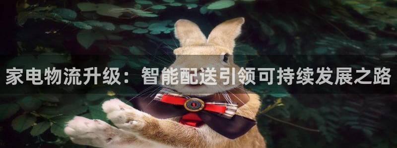 多多28充值不到账什么原因：家电物流