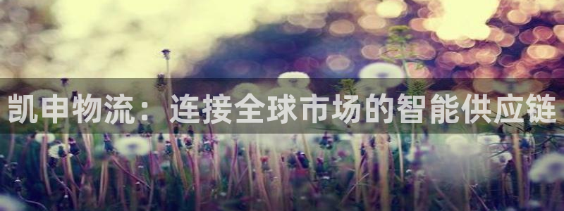 多多28登录网：凯申物流：连接全球市