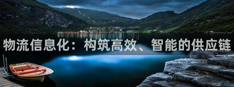 多多28怎么下载不了：物流信息化：构