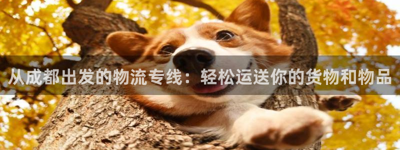 多多28技巧：从成都出发的物流专线：