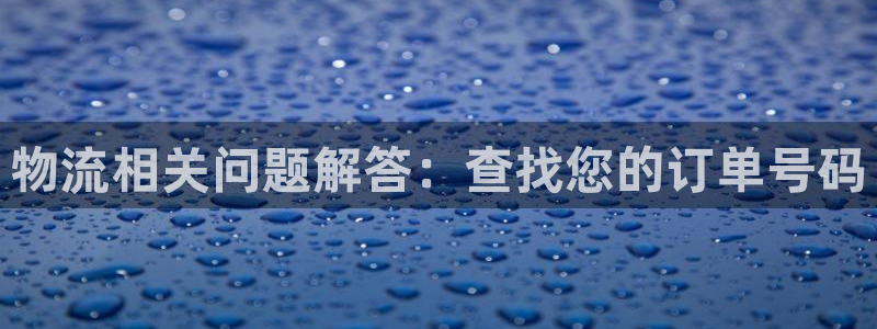 多多28防失联网址：物流相关问题解答