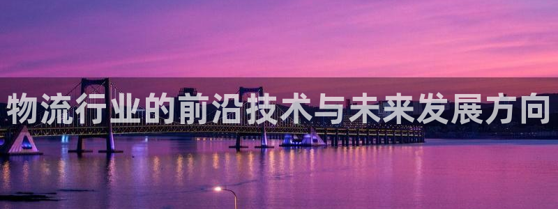 多多28登录：物流行业的前沿技术与未