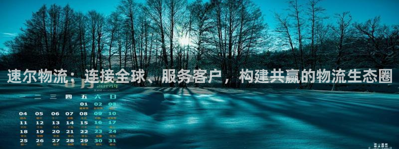 多多28登录用户名登录不上：速尔物流