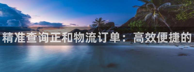 多多28v6能卖多少：精准查询正和物