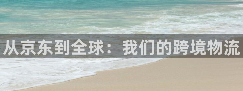 多多28官网版所有版本：从京东到全球