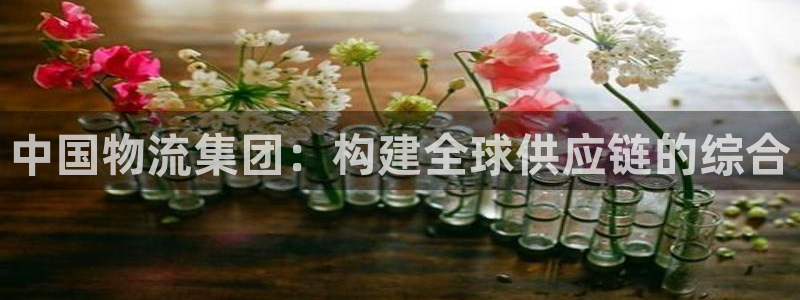 多多28是什么软件：中国物流集团：构