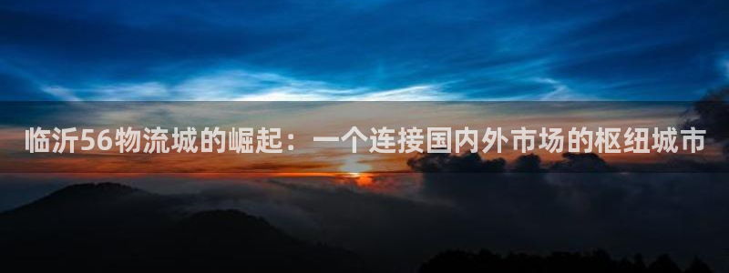 多多28黑款:临沂56物流城的崛起: