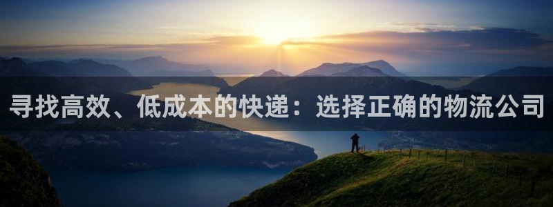多多28连输10天：寻找高效、低成本的快递：选择正确的物流公