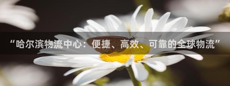 多多28那个才是充值账号
