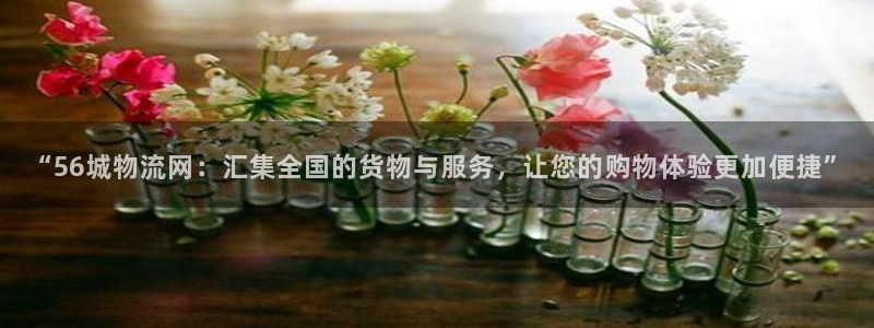 多多28官网入口pcios：“56城