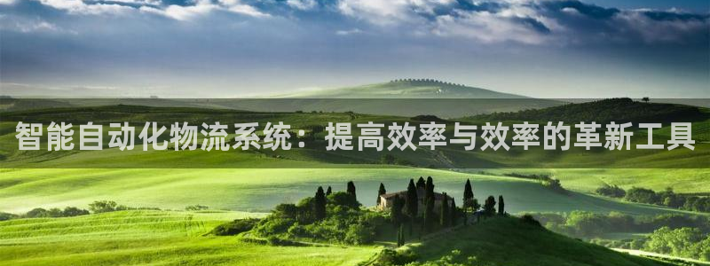 多多28是啥：智能自动化物流系统：提