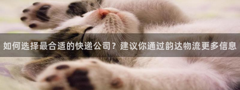 多多28注册步骤：如何选择最合适的快