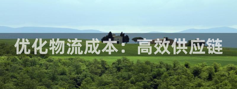 多多28起来的符号：优化物流成本：高