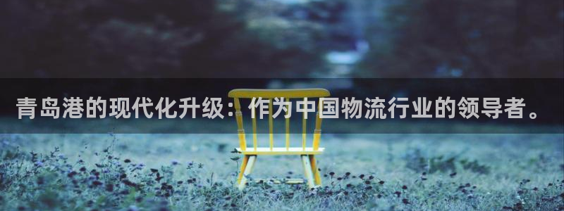 多多28注册送：青岛港的现代化升级：