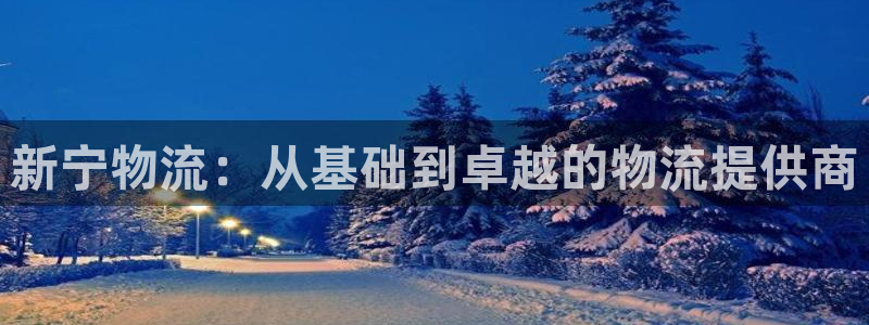 多多28提现不到账：新宁物流：从基础