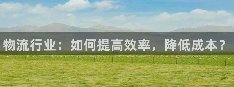 多多28反水什么时候到:物流行业:如