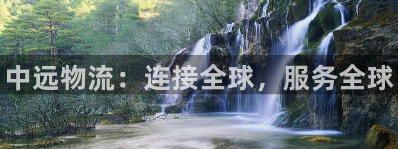 自行车多多28是什么意思：中远物流：