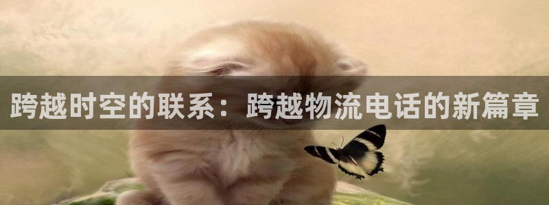 多多28如何注销账号：跨越时空的联系