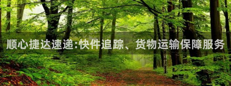 多多28推广链接是多少个：顺心捷达速