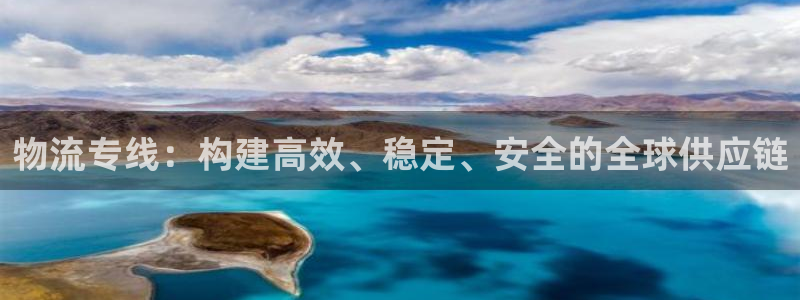 多多28黑款：物流专线：构建高效、稳