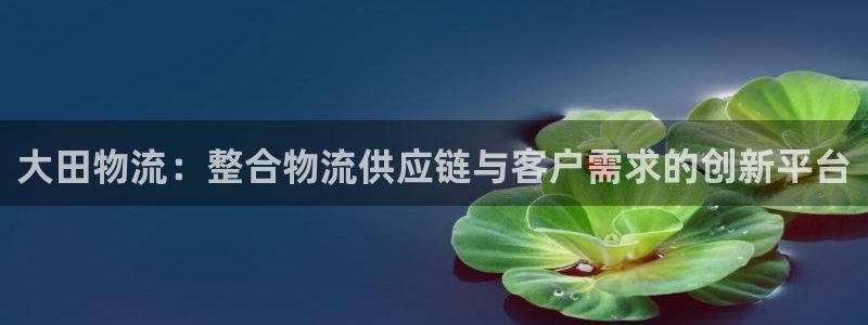 多多28软件：大田物流：整合物流供应链与客户需求的创新平台